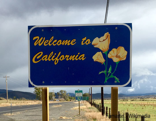 a blue sign with a california poppy on it reading "Welcome to California"